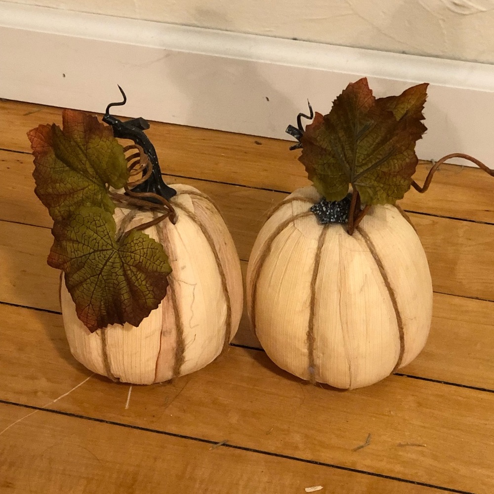Pumpkin Autumn Decor - 2 Pumpkins